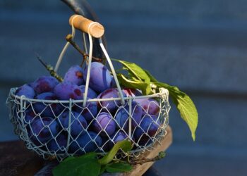 Eriğin Faydaları ve Zararları Nelerdir