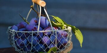 Eriğin Faydaları ve Zararları Nelerdir