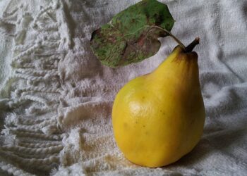 Ayvanın Faydaları ve Zararları Nelerdir