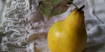 Ayvanın Faydaları ve Zararları Nelerdir