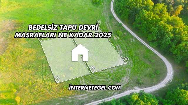 Bedelsiz Tapu Devri Masrafları Ne Kadar 2025