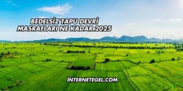 Bedelsiz Tapu Devri Masrafları Ne Kadar 2025