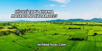 Hisseli Tapu Ayırma Masrafı Ne Kadar 2025