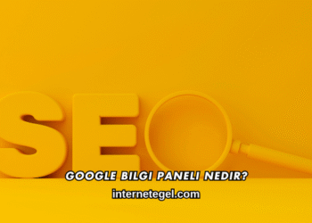 Google Bilgi Paneli Nedir?
