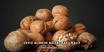 Ceviz Alırken Nelere Bakılmalı?