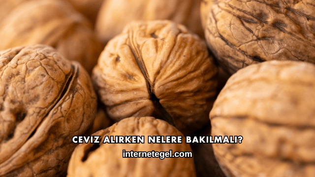 Ceviz Alırken Nelere Bakılmalı?