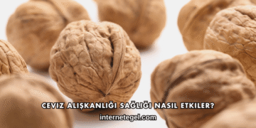 Ceviz Alışkanlığı Sağlığı Nasıl Etkiler?