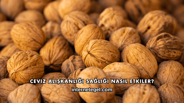 Ceviz Alışkanlığı Sağlığı Nasıl Etkiler?