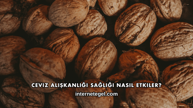 Ceviz Alışkanlığı Sağlığı Nasıl Etkiler?