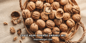 Ceviz Aşırı Yenirse Zararlı mı?