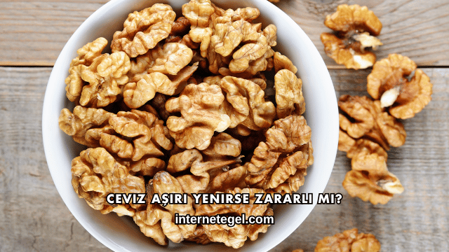 Ceviz Aşırı Yenirse Zararlı mı?