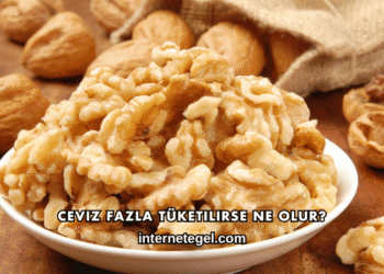 Ceviz Fazla Tüketilirse Ne Olur?