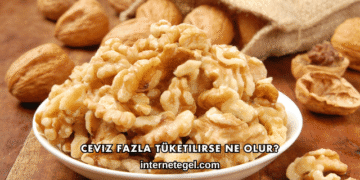 Ceviz Fazla Tüketilirse Ne Olur?