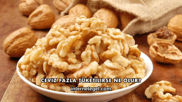 Ceviz Fazla Tüketilirse Ne Olur?