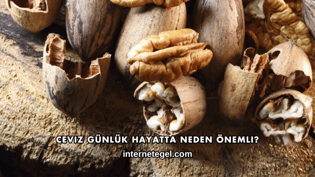 Ceviz Günlük Hayatta Neden Önemli?