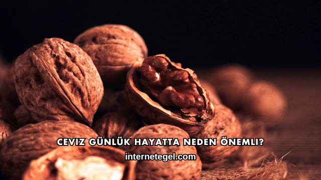 Ceviz Günlük Hayatta Neden Önemli?