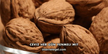 Ceviz Her Gün Yenmeli mi?