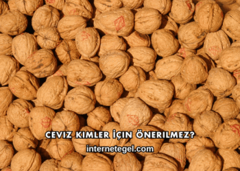 Ceviz Kimler İçin Önerilmez?