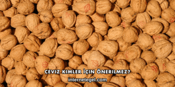 Ceviz Kimler İçin Önerilmez?