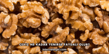 Ceviz Ne Kadar Yenirse Faydalı Olur?