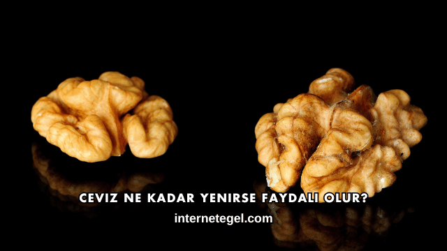 Ceviz Ne Kadar Yenirse Faydalı Olur?