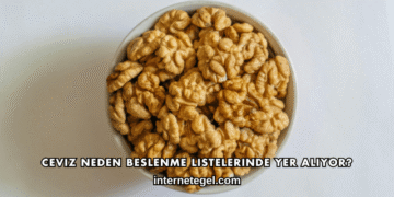 Ceviz Neden Beslenme Listelerinde Yer Alıyor?