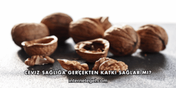 Ceviz Sağlığa Gerçekten Katkı Sağlar mı?