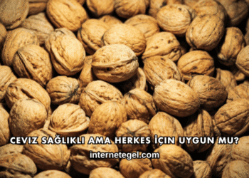 Ceviz Sağlıklı Ama Herkes İçin Uygun mu?