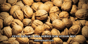 Ceviz Sağlıklı Ama Herkes İçin Uygun mu?