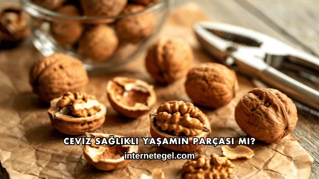 Ceviz Sağlıklı Yaşamın Parçası mı?