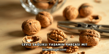 Ceviz Sağlıklı Yaşamın Parçası mı?