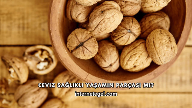 Ceviz Sağlıklı Yaşamın Parçası mı?