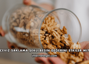 Ceviz Saklama Şekli Besin Değerini Etkiler mi?