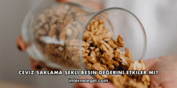 Ceviz Saklama Şekli Besin Değerini Etkiler mi?
