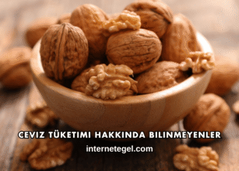 Ceviz Tüketimi Hakkında Bilinmeyenler