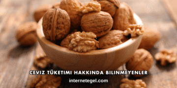 Ceviz Tüketimi Hakkında Bilinmeyenler