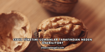 Ceviz Tüketimi Uzmanlar Tarafından Neden Öneriliyor?