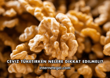 Ceviz Tüketirken Nelere Dikkat Edilmeli?