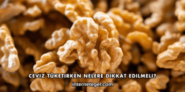 Ceviz Tüketirken Nelere Dikkat Edilmeli?