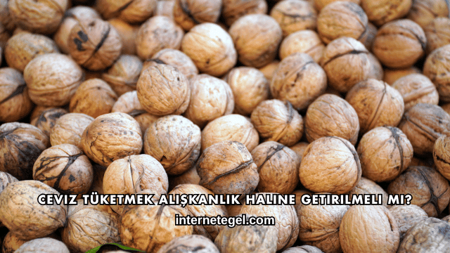 Ceviz Tüketmek Alışkanlık Haline Getirilmeli mi?