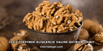 Ceviz Tüketmek Alışkanlık Haline Getirilmeli mi?