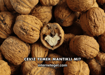 Ceviz Yemek Mantıklı mı?
