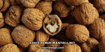 Ceviz Yemek Mantıklı mı?