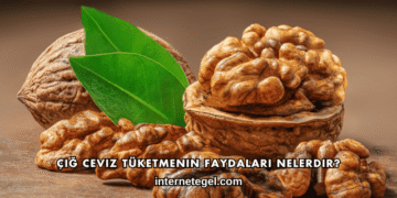 Çiğ Ceviz Tüketmenin Faydaları Nelerdir?