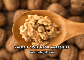 Kaliteli Ceviz Nasıl Anlaşılır?