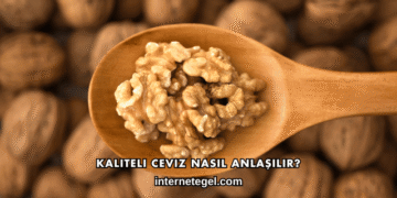 Kaliteli Ceviz Nasıl Anlaşılır?