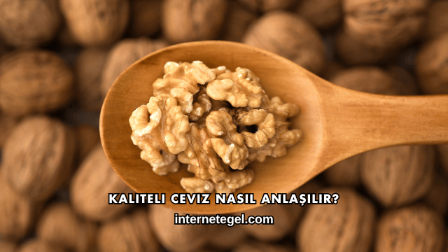 Kaliteli Ceviz Nasıl Anlaşılır?