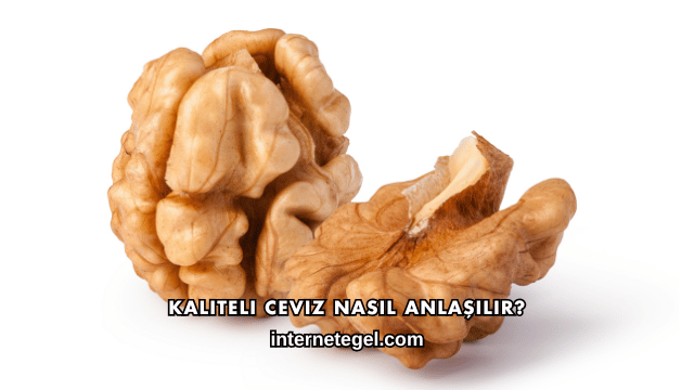 Kaliteli Ceviz Nasıl Anlaşılır?