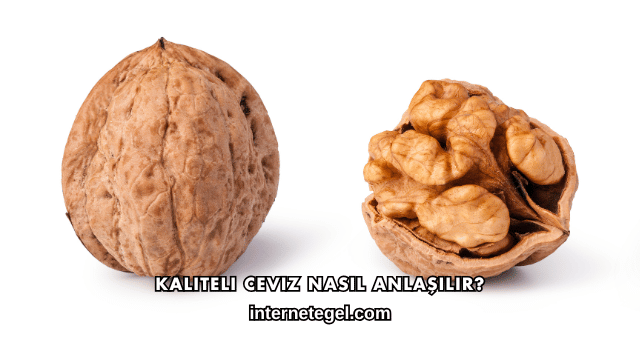 Kaliteli Ceviz Nasıl Anlaşılır?