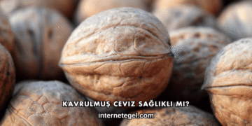 Kavrulmuş Ceviz Sağlıklı mı?